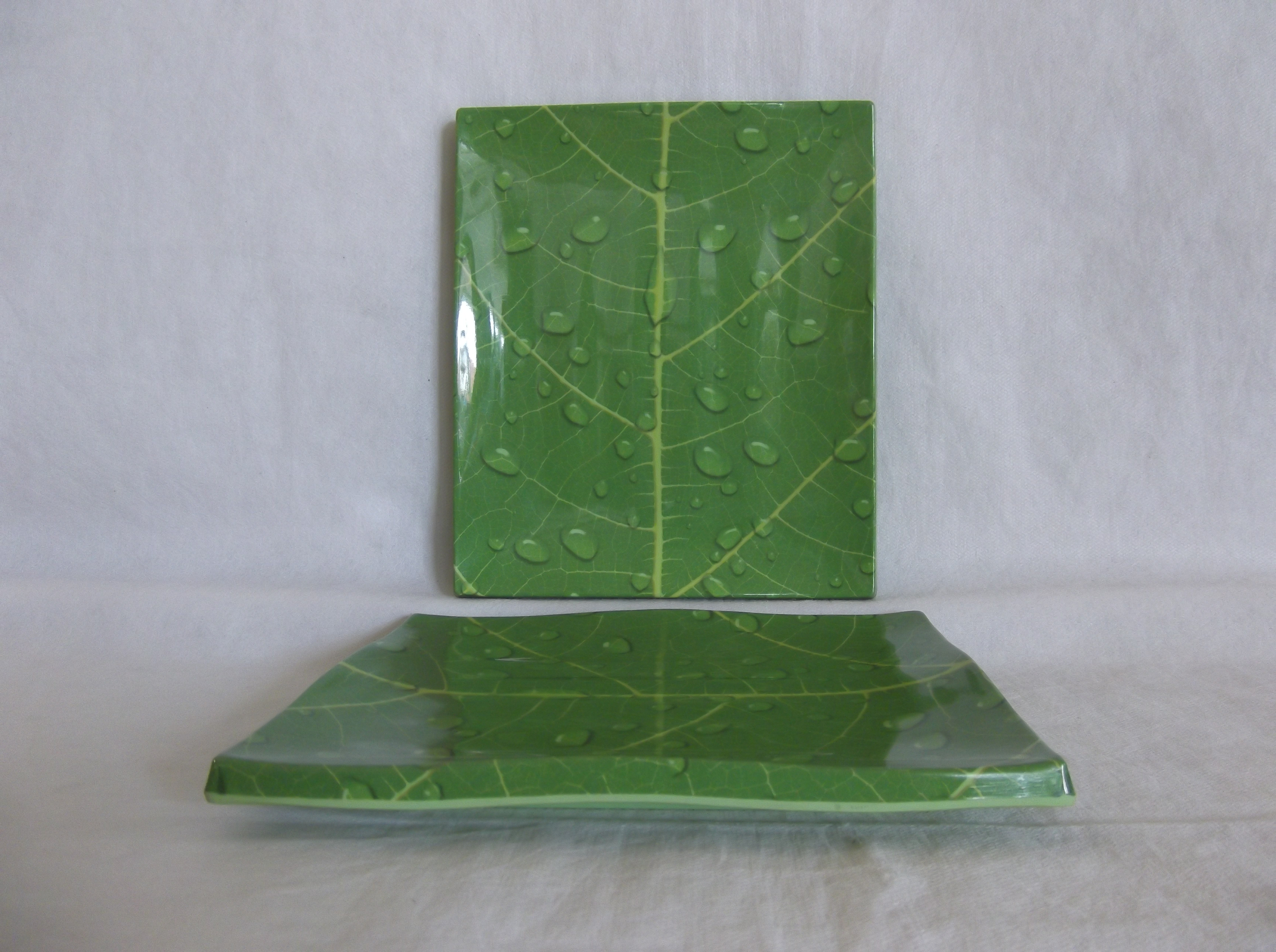 Senwell product